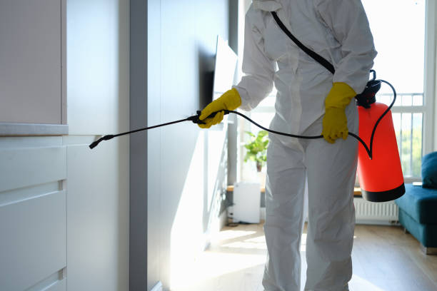 Best Black Mold Remediation in Charlestown, IN